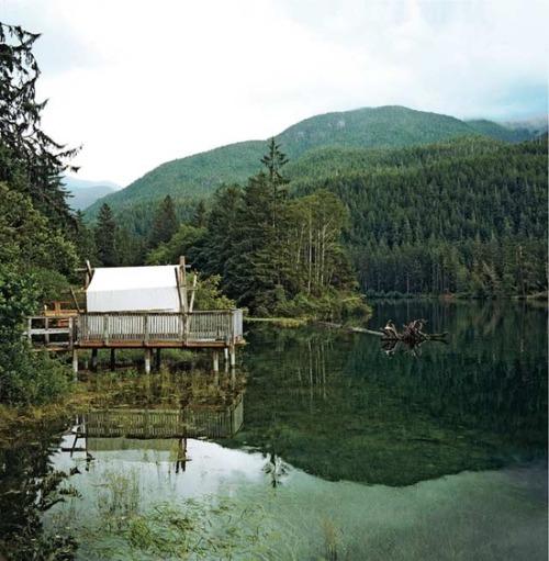 tinyhousedarling:miflyguy:thebasic:Clayoquot Wilderness Resort, Vancouver IslandA place I wo