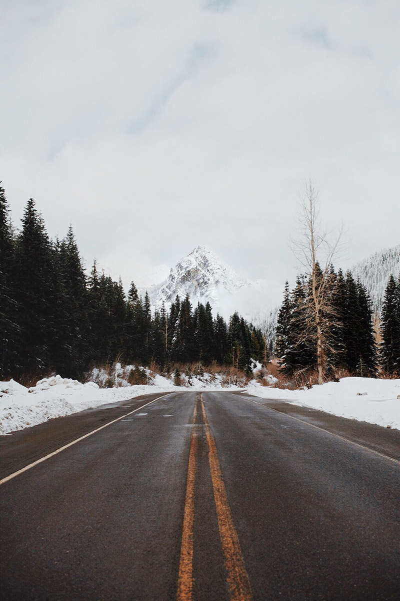iso350:  Untitled by ioegreer 