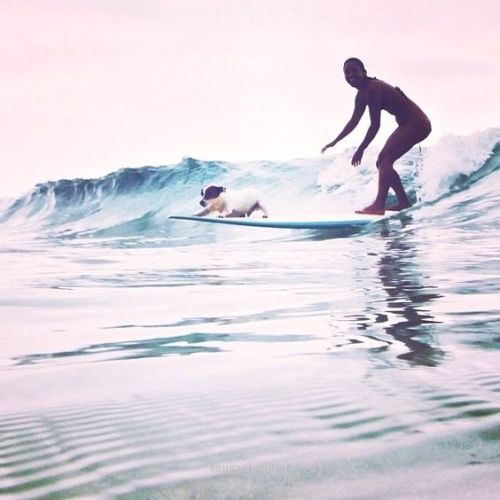 Surf Life