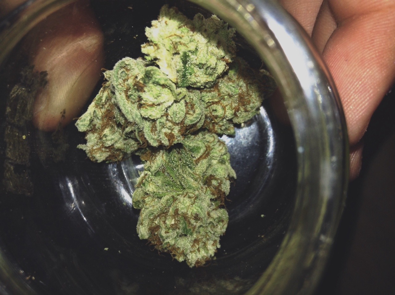 shatteredsunrise:  Some herb to heal The heart💚