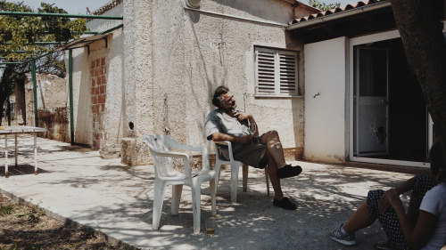 In the olive grove Istra, July 2015