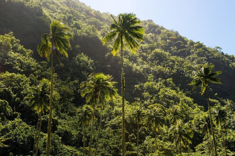 highenoughtoseethesea:  Jords, Nat and Kolohe take Tahiti Photos: Ryan Miller 