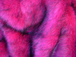 fluoroid:  faux fur