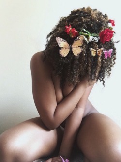 littleshayrose: The soft butterfly 🦋