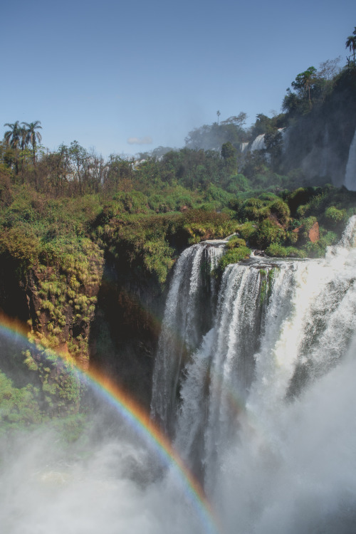 matialonsorphoto:Iguazúby matialonsorLove how you see the meeting between the falls and the plants, 