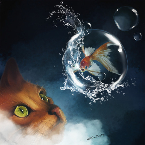 Porn Pics helenemfr:  Le chat et le petit poisson rouge