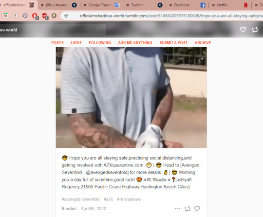 Tumblr media