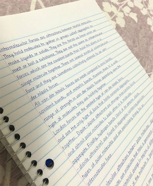 blossomandglow:lchupanibre: boredpanda: Perfect Handwriting Examples That’ll Give You An Eyega