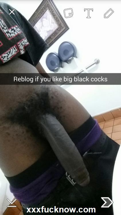 luvdee69:interracialbumpunchers:Find Your DreamboatMmmm crave'em!!!!I love big black cocks