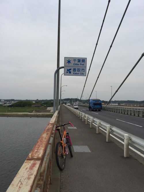 xizang325: 2015/6/13　　水郷大橋　　帰ってきたぜ、千葉！って反対岸に渡っただけですけどね。この時点で17時、夕暮れまで時間はあるけど早めに撤退行動に入りますか。