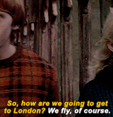 potterlilys:harry potter meme | [4/8] characters → luna lovegood“Well, if I were You-Know-Who, I’d w