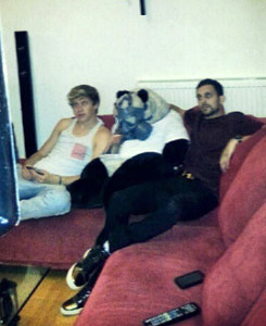 criminiallar:  NiallOfficial: Look who just rocked up to my house! @dynamomagician 