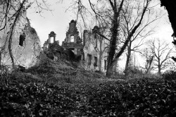 sylverstern:#analogphotography #abandoned #dolnyśląsk #residence #agfaapx100 #romantism #caspardavidfriedrich #rodinal #35mm