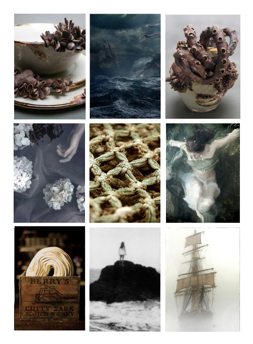 stories-in-the-fog: Moodboards about SHIPWRECK. All that inspirations will lead my textile work. &nb