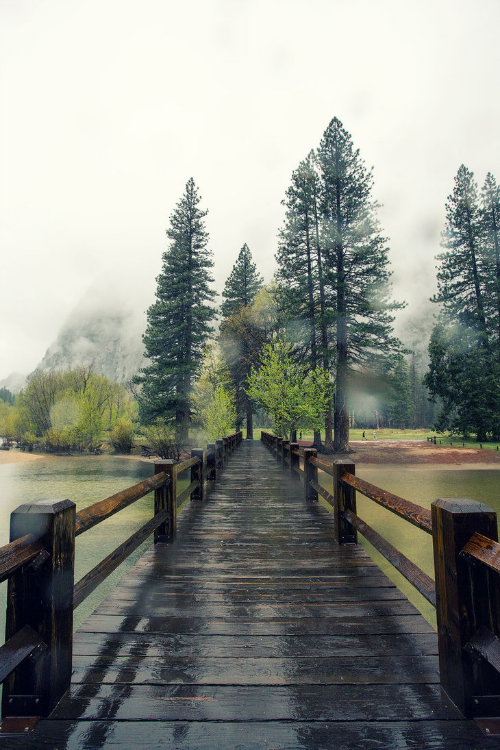Sex expressions-of-nature:  Yosemite National pictures