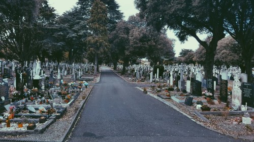fernandamorete:Glasnevin Cemetery Quando vou à pé para o trabalho, passo em frente à este cemitério 
