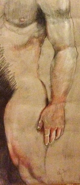bobbygio:  Body Sketch detail. Antonino Graziano 