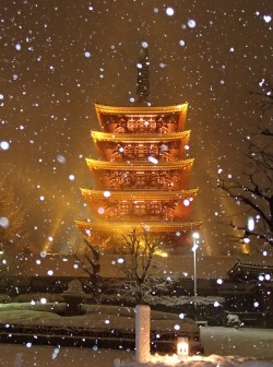 megazal:  Snowy Evening in Tokyo at Asakusa