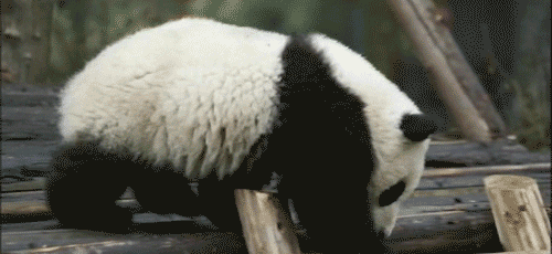 haiilmaredentroliride:  occhiluccicantiemanifredde:  occhiglaciali:  iaiapici:  Oh