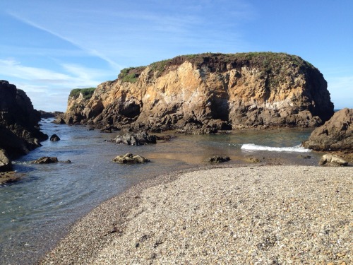 Here’s a mix of pictures from Mendocino, CA and Glass Beach in Fort Bragg, CA. The final picture is from Navarro, CA, where we stopped for dinner and wine tasting. Navarro is known for it’s wineries so we figured, why not try some local wine