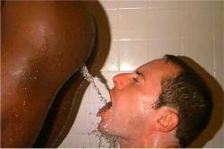 Dabberdave:  Chocolate Gold   Black Piss Is Good For Whites.