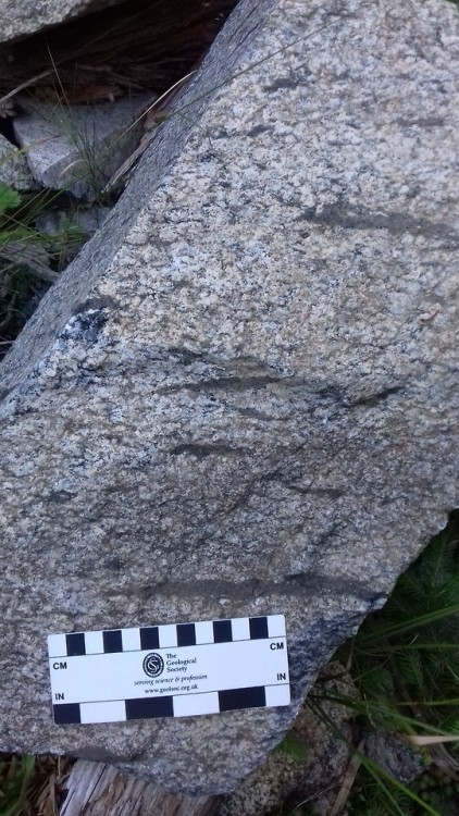 geologyedinburgh:White-Nepheline Syenite quarry in Harghita, Romania. It was abandoned in the 90s.