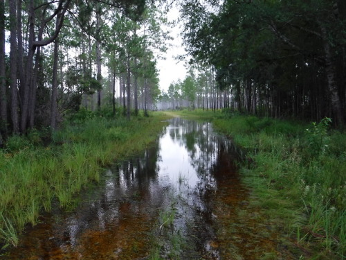 When your project area floods, you have to adapt. The sites are high and dry, but the access roads a