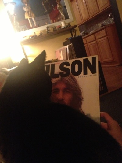 A cat thoughtfully contemplates the understated genius of Beach Boys drummer Dennis Wilson on his lone solo long player.