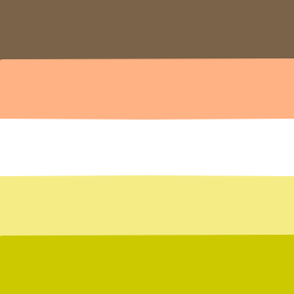 aroaesflags: Made some combo flags with the alloaro flag Gay | Lesbian Bi | Pan | Ply NB | Trans