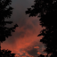 thesunsetdalneversaw