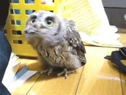 We talked, you pooped. I thought we had a connection.