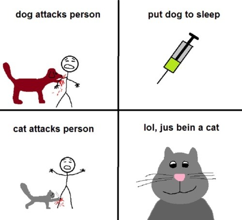 lol-post:  The real difference between cats and dogs…http://lol-post.tumblr.com/ 