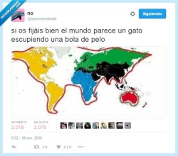 lacaja-depandora:Lo hemos tenido toda la vida delante y ahora nos damos cuenta por @soynormalvale