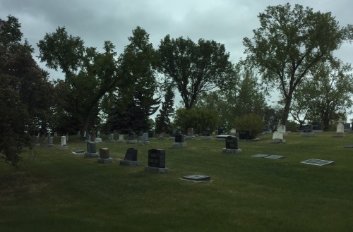 stabilised: Grave Yard