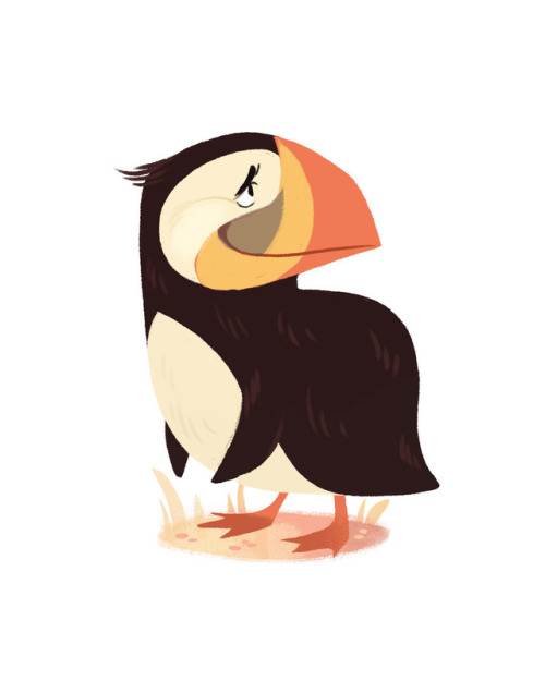 I think Puffins are underrated. They are like penguins, but with naturally cartoonish expressions, i