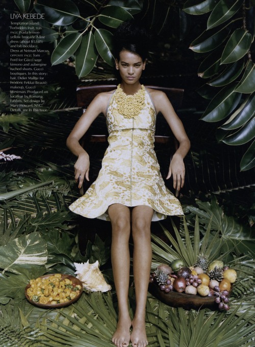 faux-euro:Liya Kebede wearing Prada, photographed by Arthur Elgort, Vogue, June 2003