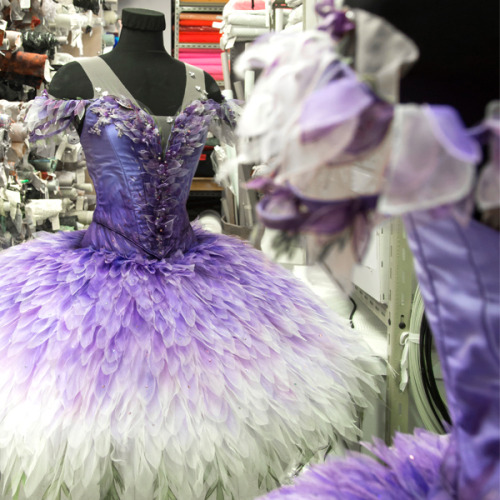 Tutu for the Australian Ballet’s new production of Sleeping Beauty. Lilac Fairy, which will be