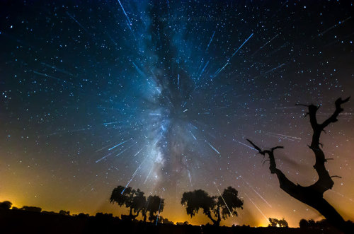 the-awesome-quotes:  Photographer   João P.Santos Captures The Starry Skies Of Less-Polluted Places