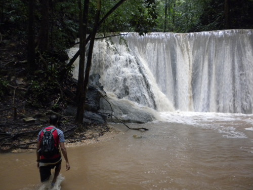 trailpace:  Heading to the the fourth level of Turure Falls