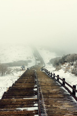 plasmatics:  Shrouded in Storm by Aaron Choi