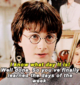 spidehman:HARRY POTTER MEME » [1/10] anything: Harry’s sarcasm