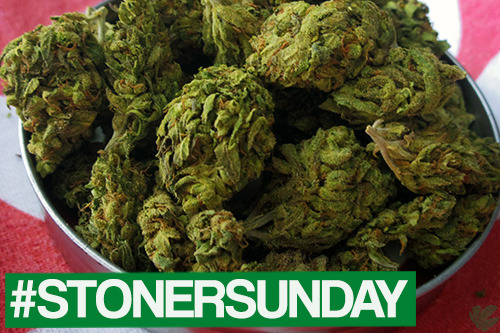 Porn weedporndaily:  Happy Stoner Sunday! Tag your photos