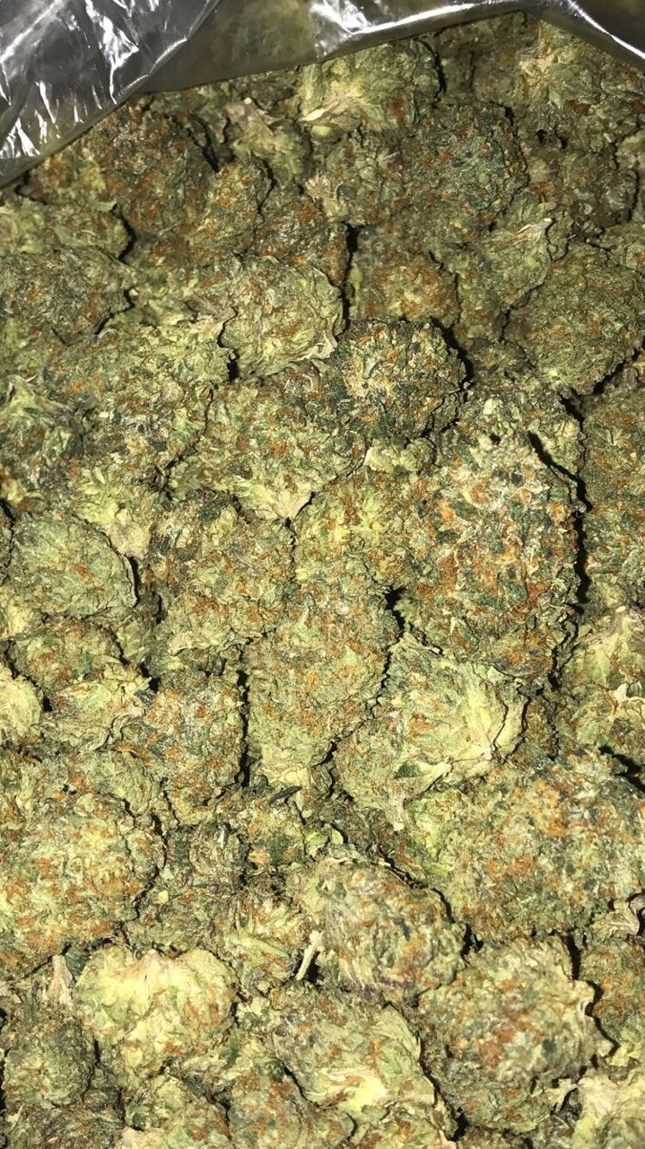 skankin-it-easy:Bacio Gelato grown by Sherbinski