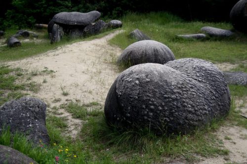 The Curious Case of the Living RocksOk, so these rocks aren’t actually alive, but they do seem to be