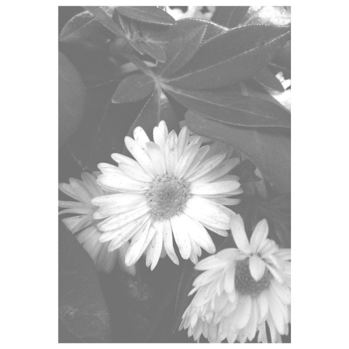 dissapolnted:  vertical/personal/love♥