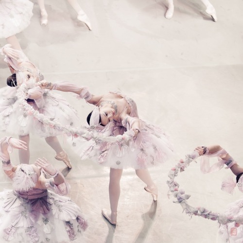 marthajefferson:lasylphidedubolchoi:Mikhailovsky’s Le CorsairePhotos by Nikolai Krusser