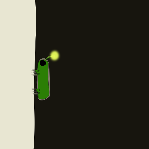 What Does The Inside Of An Ostoexap Shell Look Like?