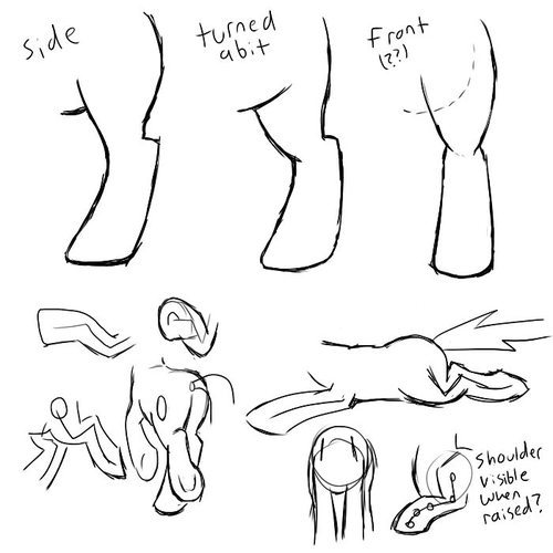Sex step-by-step pony guides pictures