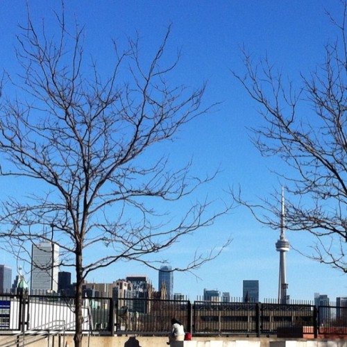 Toronto looking south from Bloor. #NoFilter