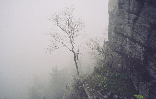 quiet-nymph:Photography by marika.py on Flickr